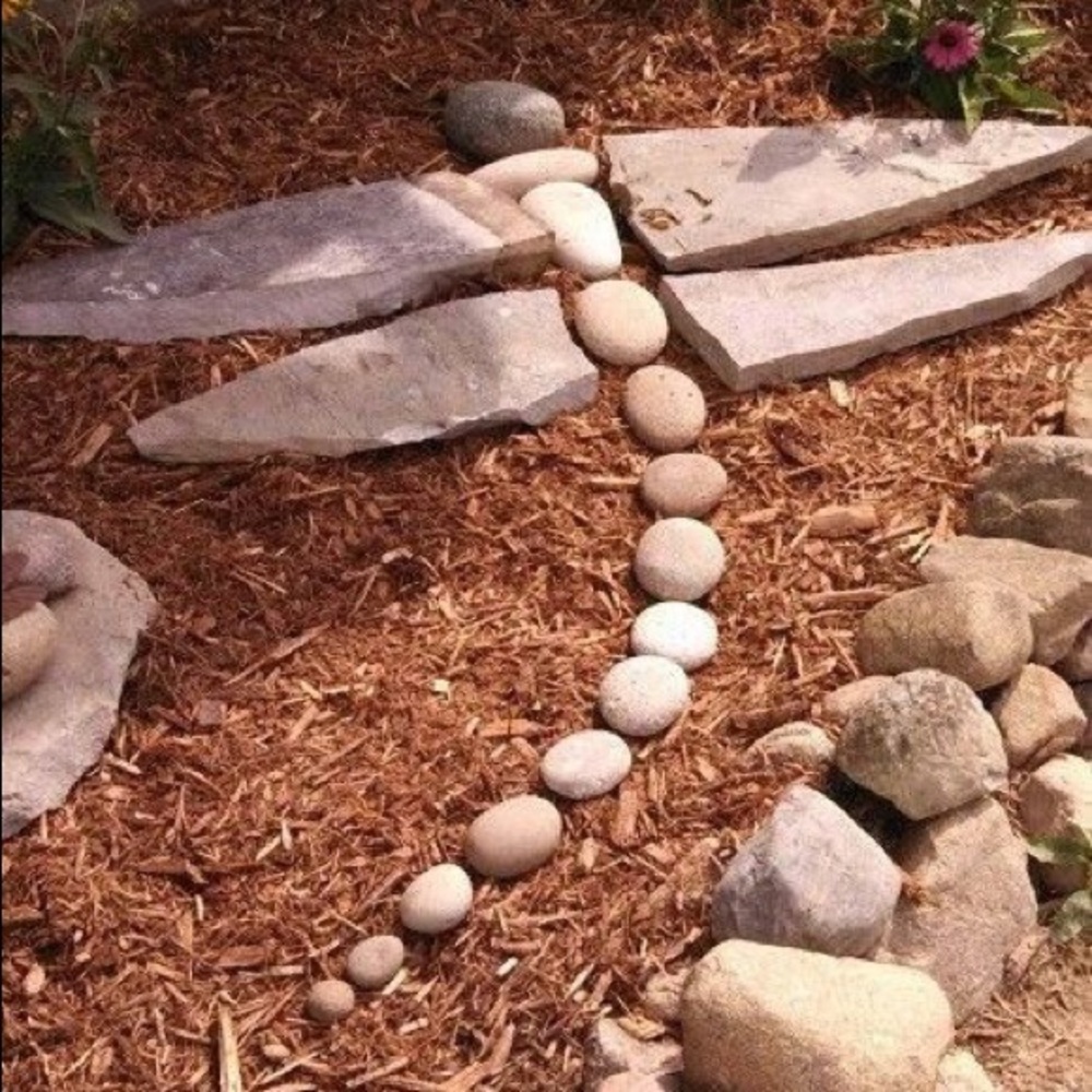 Rock Art, dragonfly